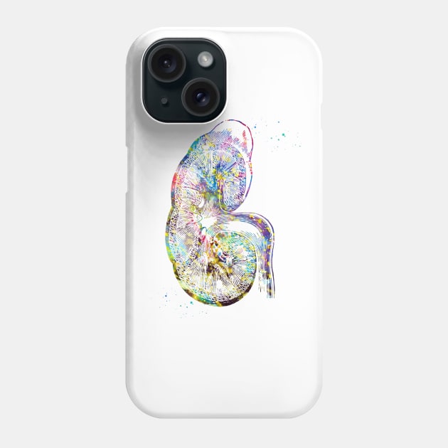 Kidney section Phone Case by erzebeth