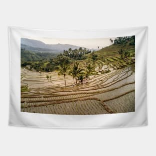 Terraces Tapestry