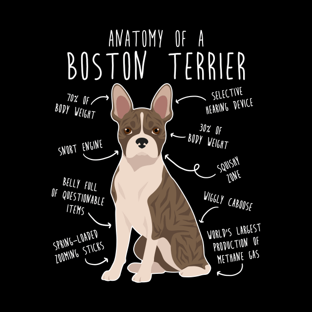 Brindle Boston Terrier Dog Anatomy by Psitta