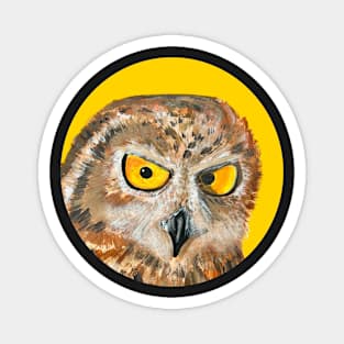 Owl sticker Magnet