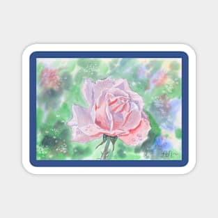 A rose with dew drops Magnet