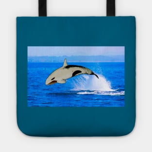 Trevert Minus the Orca Tote