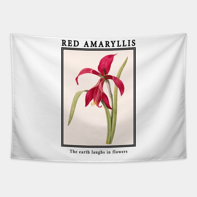 Flowers - Amaryllis Tapestry by j.adevelyn