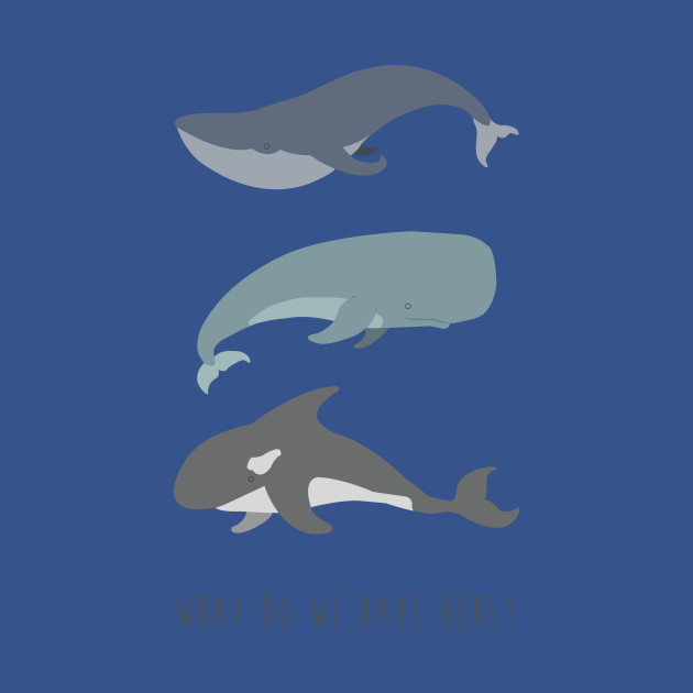 Disover Whale, Whale, Whale... - Whale Pun - T-Shirt