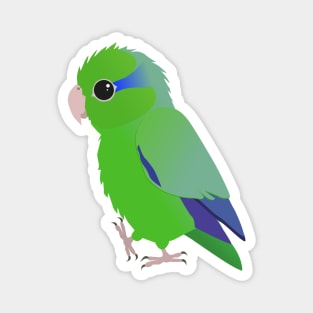 Cute green pacific parrotlet Magnet