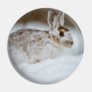 Snow Shoe Hare Pin