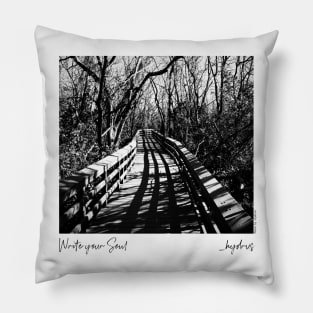 Hydrus Boardwalk Pillow