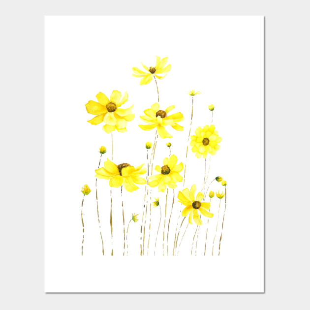 yellow cosmos flower watercolor - Yellow Cosmos Flower Watercolor - Posters  and Art Prints | TeePublic