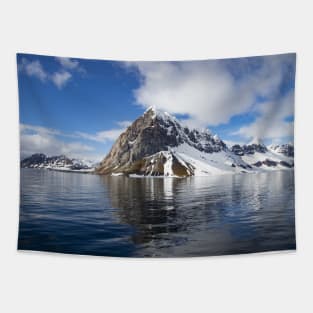 Mountain Landscape Tapestry