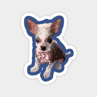 Chinese Crested Puppy Dog Magnet