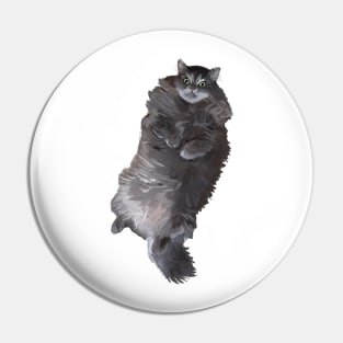 Gray Long Haired Cat Pin