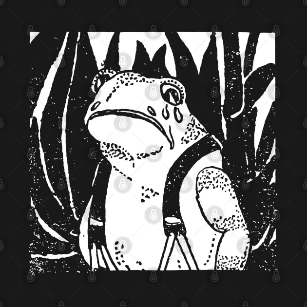 A Nostalgic Blend of Vintage Aesthetics and Sad Frog Vibes by Ministry Of Frogs