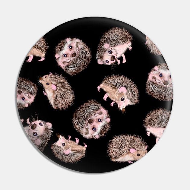 Hedgehogs Pin by theerraticmind