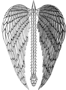 Angel Wings Magnet