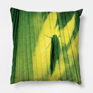 Shadow of a butterfly Pillow