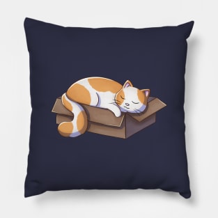 Cat Sleeping In Box Pillow