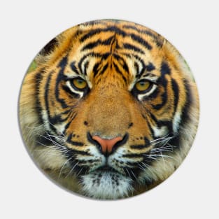 Tiger Face Mask Pin