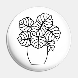 Color In Calathea Pin