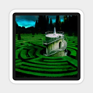 The Maze Magnet