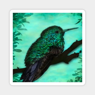 Coloured Hummingbird Magnet