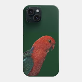 Lorikeet, Australia. Phone Case