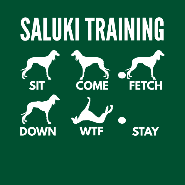 Saluki Training Saluki Dog Tricks by DoggyStyles