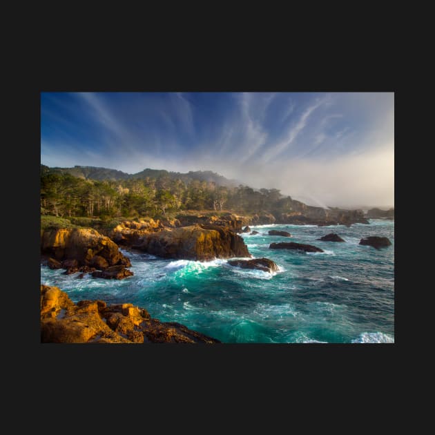 California's Point Lobos by dawn2dawn