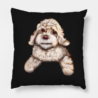 Cute white Cavapoo Cavoodle puppy dog - cavalier king charles spaniel poodle Pillow