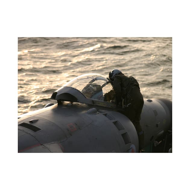 Sea Harrier Pilot by captureasecond