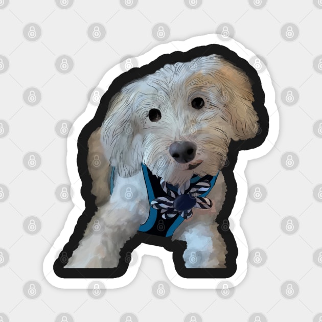 Cooper the Maltipoo Magnet by byEstherReid