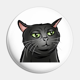 Tiktok Black Cat | Viral Cat | Black Cat Zoning Out | Cat Meme Pin