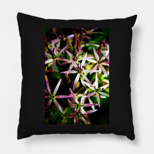 Allium Flower Macro Pillow