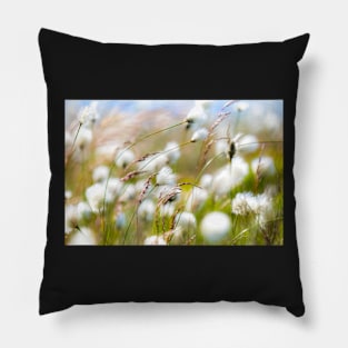 Cottongrass on the Peak District moors Pillow