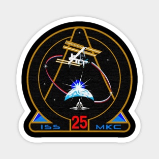Black Panther Art - NASA Space Badge 165 Magnet