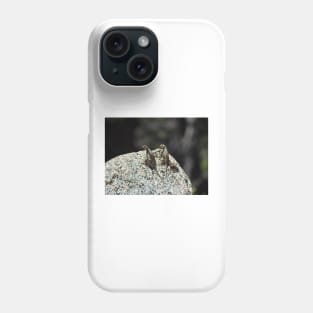 Wildlife gifts, reptiles, western fence lizard Phone Case