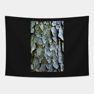 Tree bark Tapestry