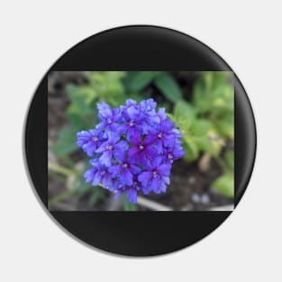 Full Tiny Purple Flower Cluster Photographic Image Pin