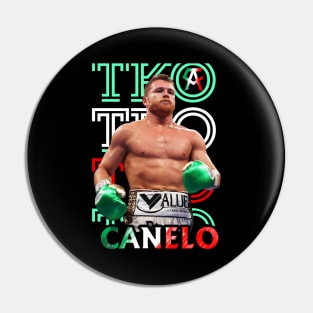 the winner of canelo alvarez Pin