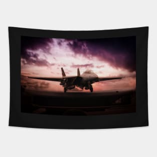 Big Cat Launch Tapestry