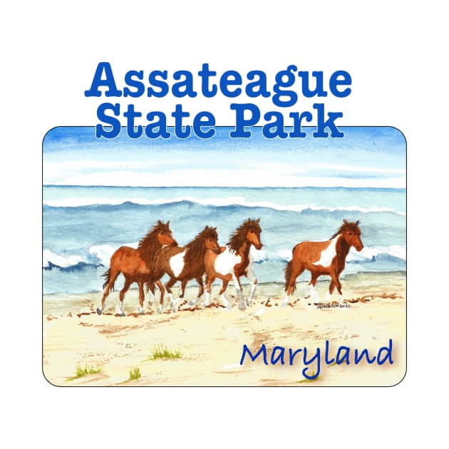 Assateague State Park, Maryland by MMcBuck