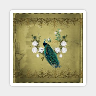 Wonderful peacock, vintage Magnet