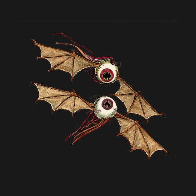 TWO FLYING EYEBALLS by Armadillo Hat