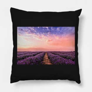 Lavender field under multicolored cloudy sky Pillow