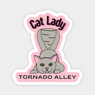 Cat Lady Tornado Alley Magnet