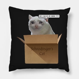 Schrodingers Cat meme Pillow