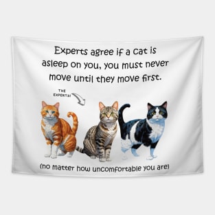 Experts agree if a cat is asleep on you, you must never move until they move first - funny watercolour cat design Tapestry