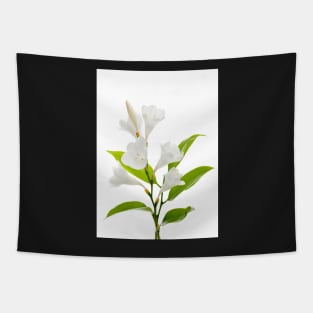 White lilies Tapestry