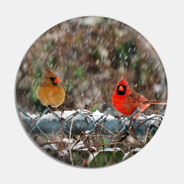 Winter Male and Female Cardinals Sitting On A Fence In A Snowstorm Pin by BackyardBirder