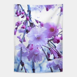 Photography - Dreamy sakura blossom Tapestry