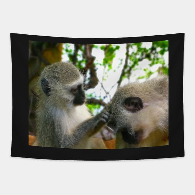 Vervet Monkeys, Kruger National Park, South Africa Tapestry by vadim19